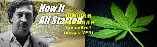 ПСИЛОЦИБИНОВЫЕ ГРИБЫ Алзамай