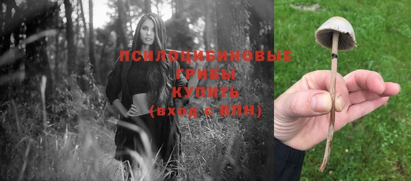 каннабис Новокубанск