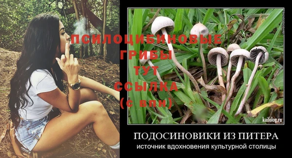 ешки Алексеевка