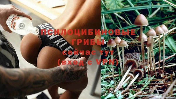 ПСИЛОЦИБИНОВЫЕ ГРИБЫ Алзамай