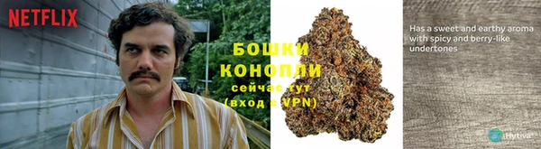 ПСИЛОЦИБИНОВЫЕ ГРИБЫ Алзамай