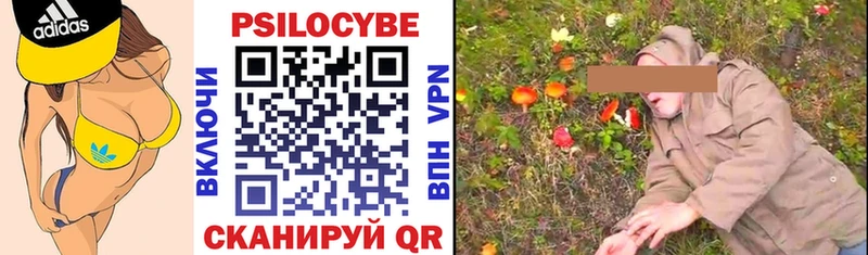 Псилоцибиновые грибы мицелий это телеграм Осинники